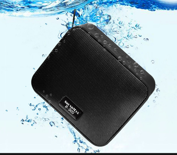 Loa di động Bluetooth SoundMax R300