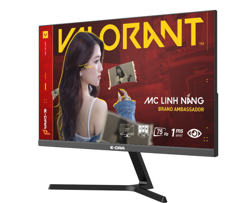 Màn hình Gaming E-DRA EGM27F75 27 inch FullHD 75Hz