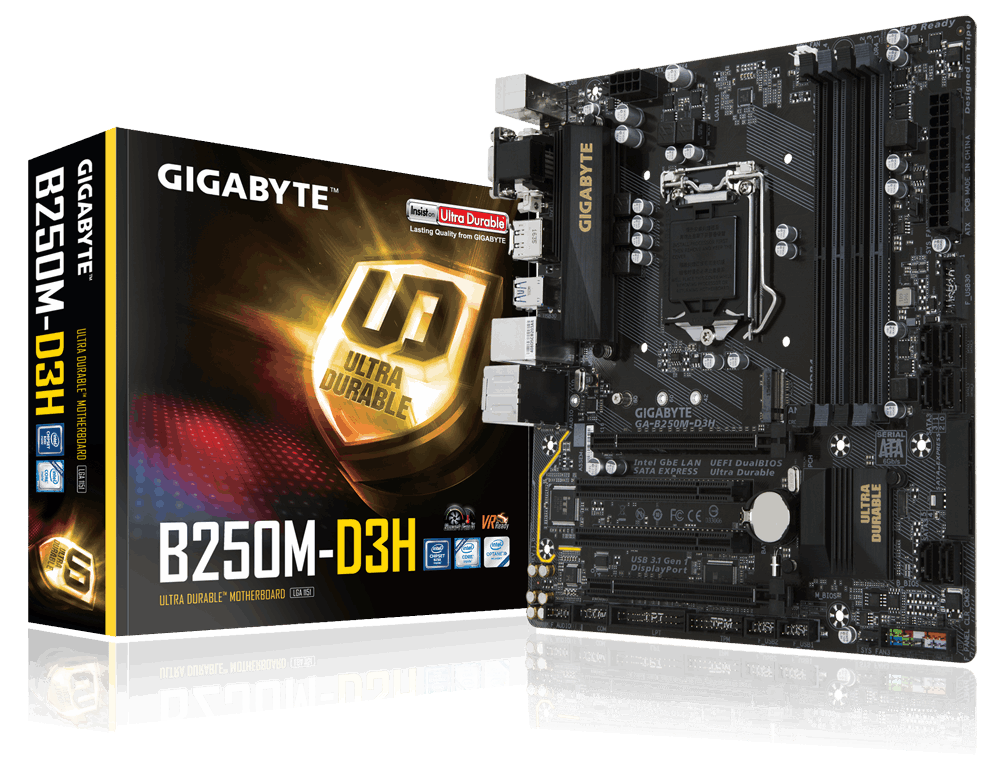 Mainboard GIGABYTE B250M-D3H